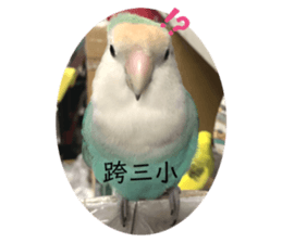 711315354
