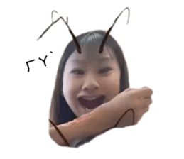 711315548