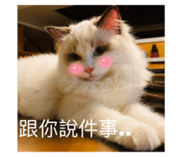 711337219