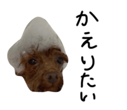 711338481