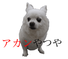 711339211