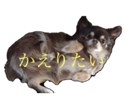 711339220