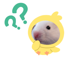 711346940