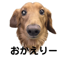711350425