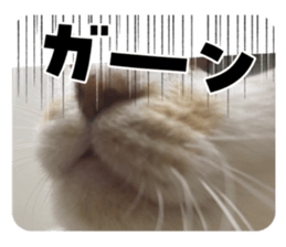 711395520