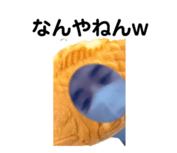711401509