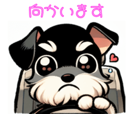 711416385