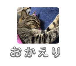 711425037