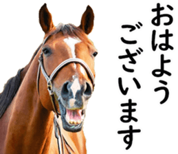 711433505