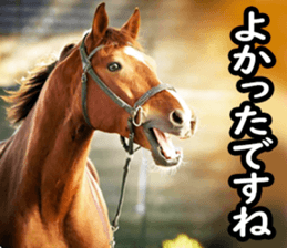 711433520