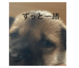 711453119