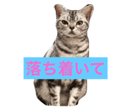 711467688