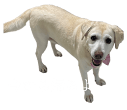 711479421