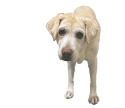 711479431