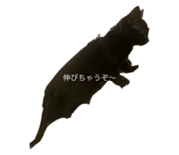 711497195