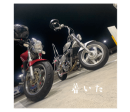 711500036