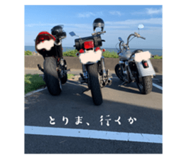 711500046
