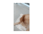 711502119