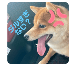 711547549
