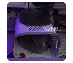 711554971