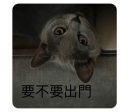 711554987