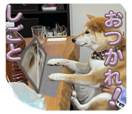 711609631