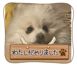 711609735