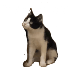 711612462
