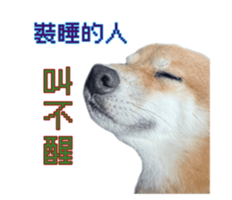 711615001