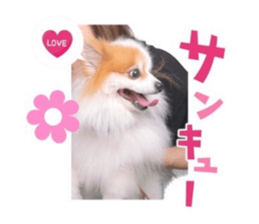 711621385