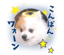 711621386
