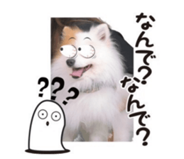 711621387