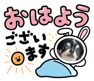 711645640