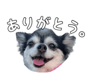711645936