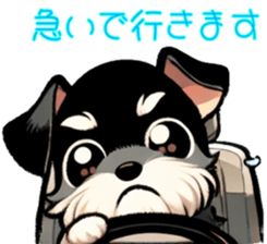 711650660