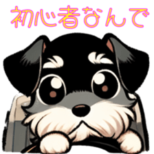 711650662