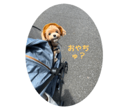 711655669