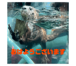 711673427