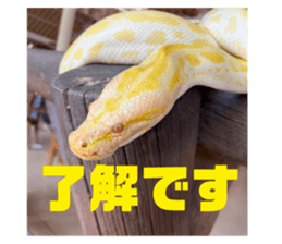 711673431