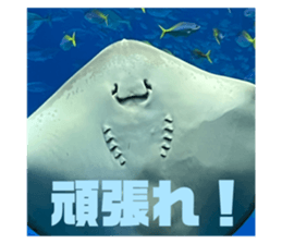 711673448