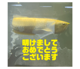 711673464