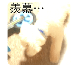 711686724