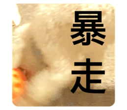 711686726