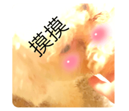 711686728