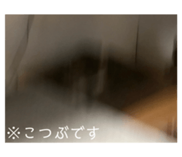 711687464