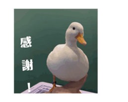 711688855