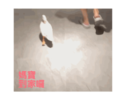 711688856