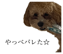 711692187
