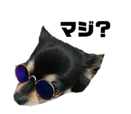 711702559