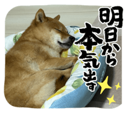 711704296